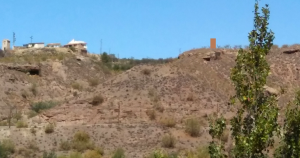 torrecilla vega_Castaños