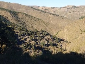 IMG_20231217_104618
