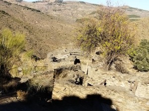 IMG_20231217_112556
