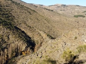 IMG_20231217_112756