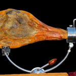 Jamón serrano