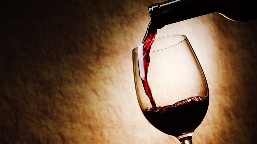 gastronomico-vino-1