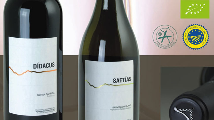 gastronomico-vino-2